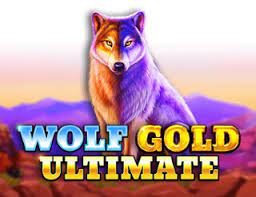 Wolf Gold Ultimate review by MC Group | Pragmatic Play